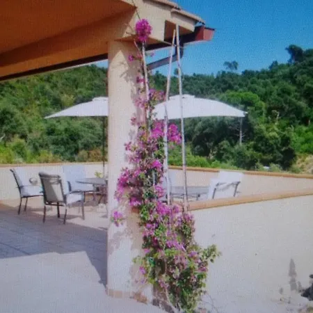 Cardona 료렛 드 마르