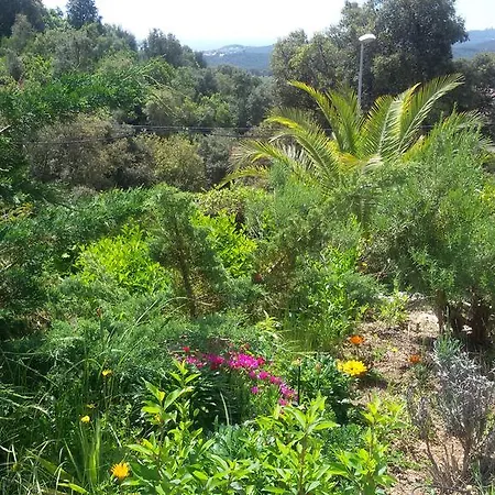 Cardona Lloret de Mar
