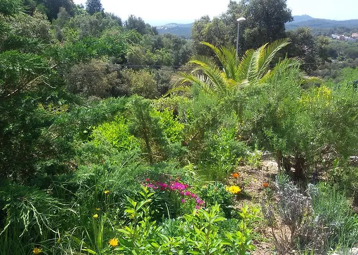 Cardona Lloret de Mar